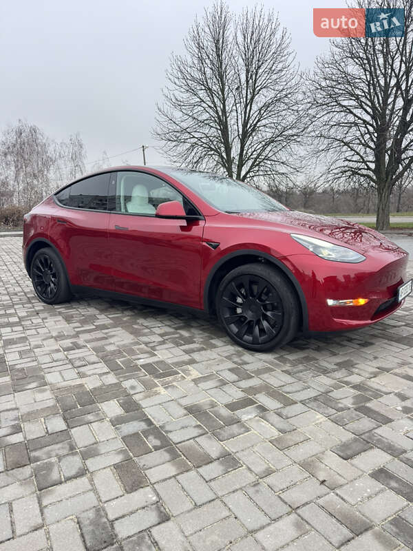 Внедорожник / Кроссовер Tesla Model Y 2024 в Запорожье
