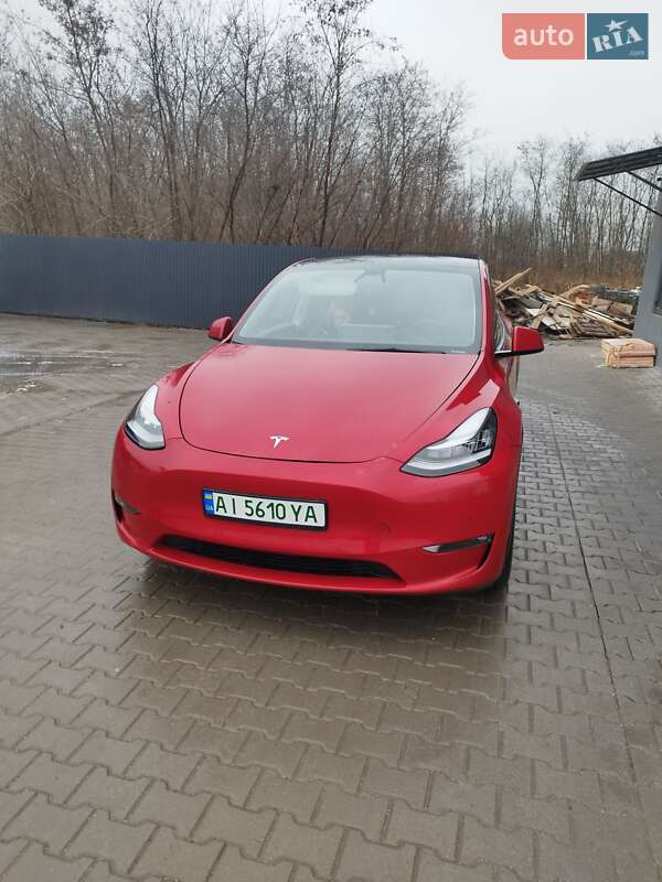 Позашляховик / Кросовер Tesla Model Y 2021 в Тернополі