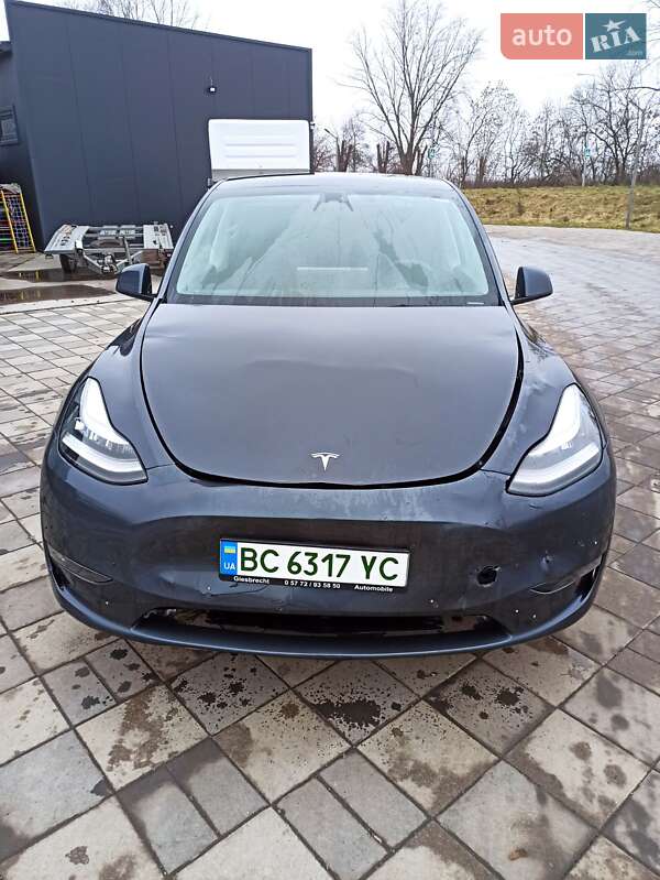 Внедорожник / Кроссовер Tesla Model Y 2020 в Самборе