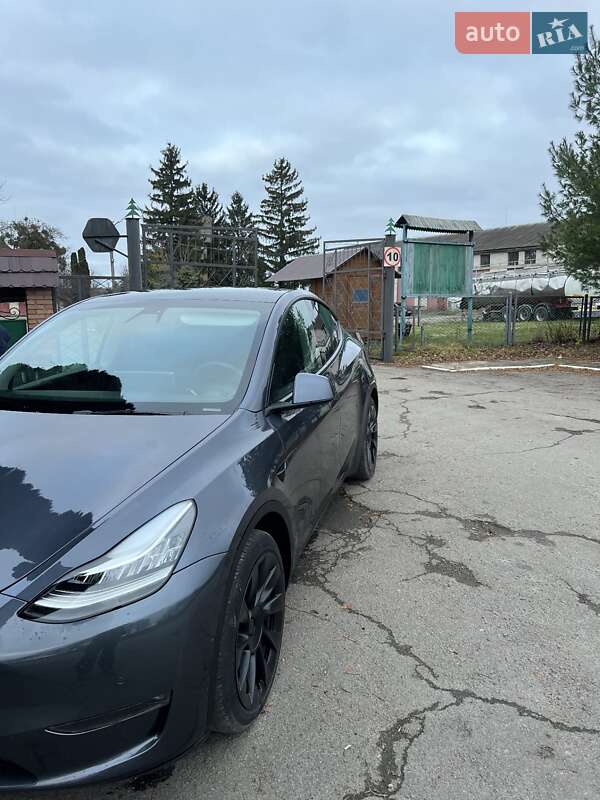 Внедорожник / Кроссовер Tesla Model Y 2021 в Остроге фото 3 Внедорожник / Кроссовер Tesla Model Y 2021 в Остроге