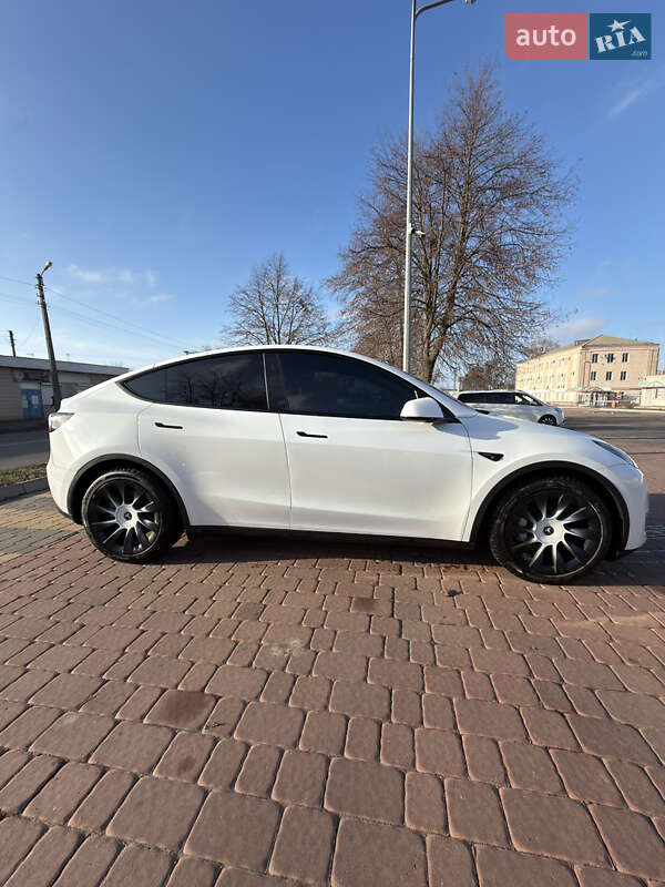 Внедорожник / Кроссовер Tesla Model Y 2023 в Полтаве фото 3 Внедорожник / Кроссовер Tesla Model Y 2023 в Полтаве