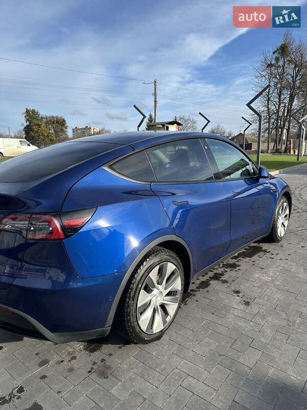 Внедорожник / Кроссовер Tesla Model Y 2020 в Лубнах