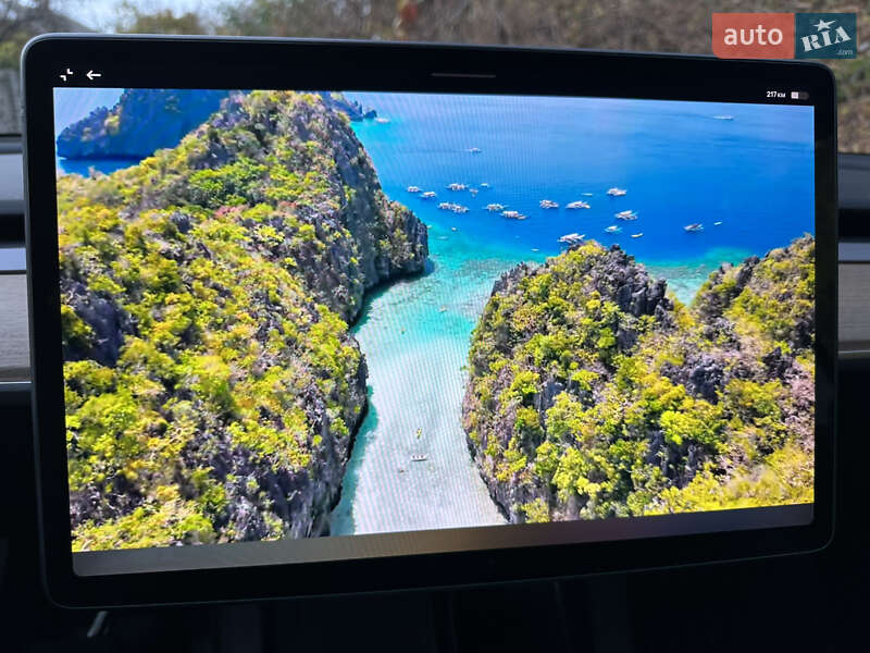 Внедорожник / Кроссовер Tesla Model Y 2023 в Киеве