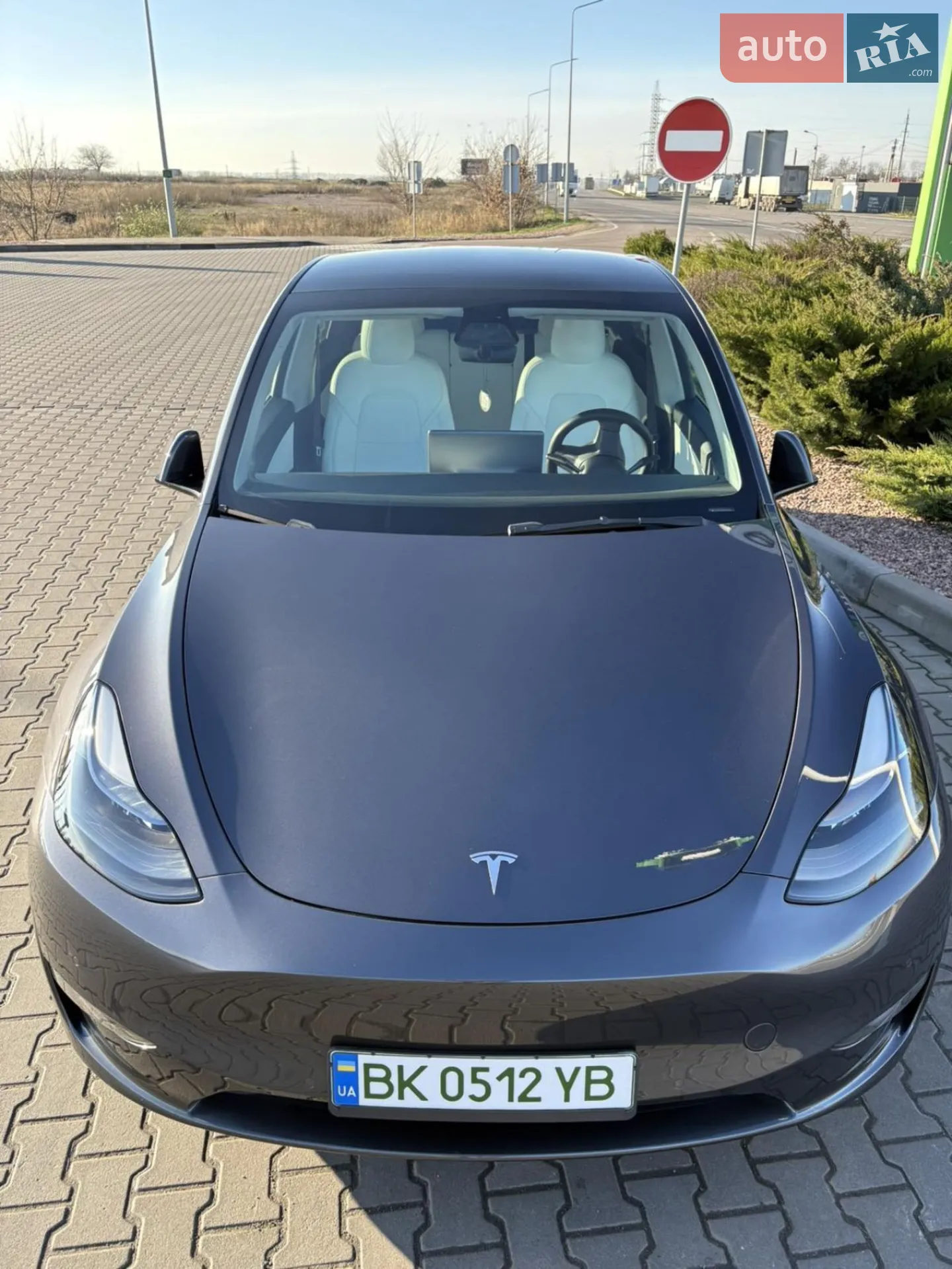 2021 Tesla Model Y - мініатюра 8