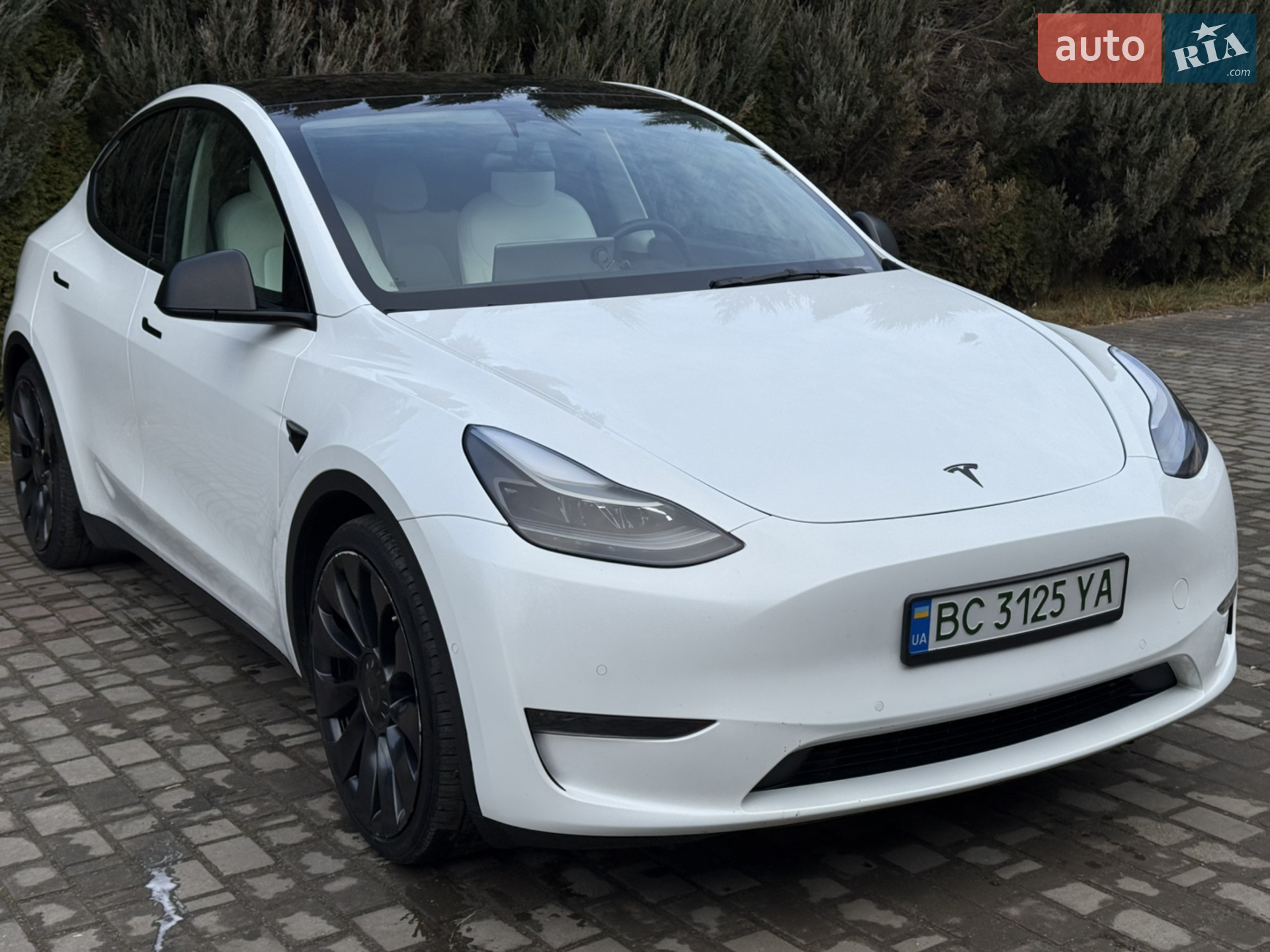 2022 Tesla Model Y - мініатюра 6