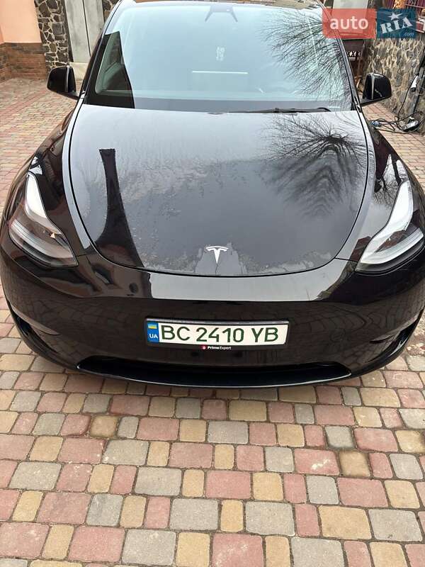 Внедорожник / Кроссовер Tesla Model Y 2021 в Львове