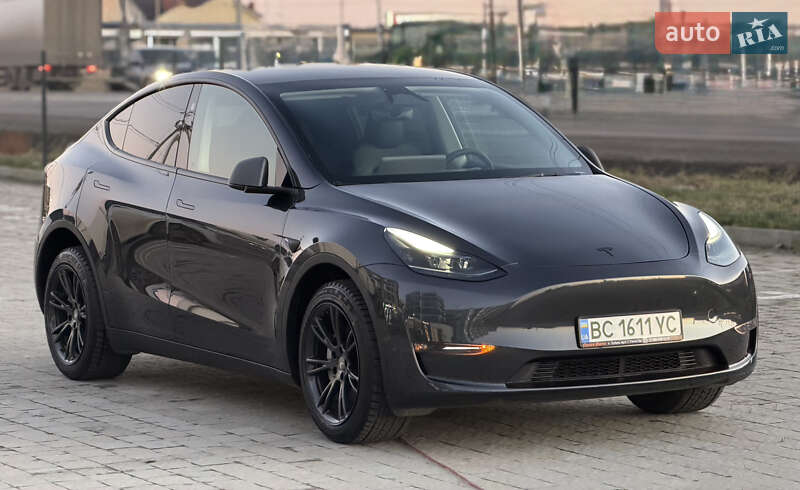 Позашляховик / Кросовер Tesla Model Y 2024 в Львові