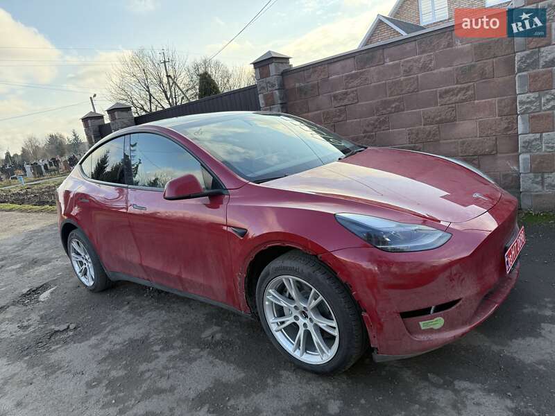 Внедорожник / Кроссовер Tesla Model Y 2023 в Луцке