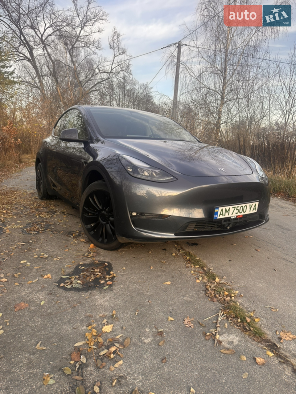 2024 Tesla Model Y - мініатюра 21