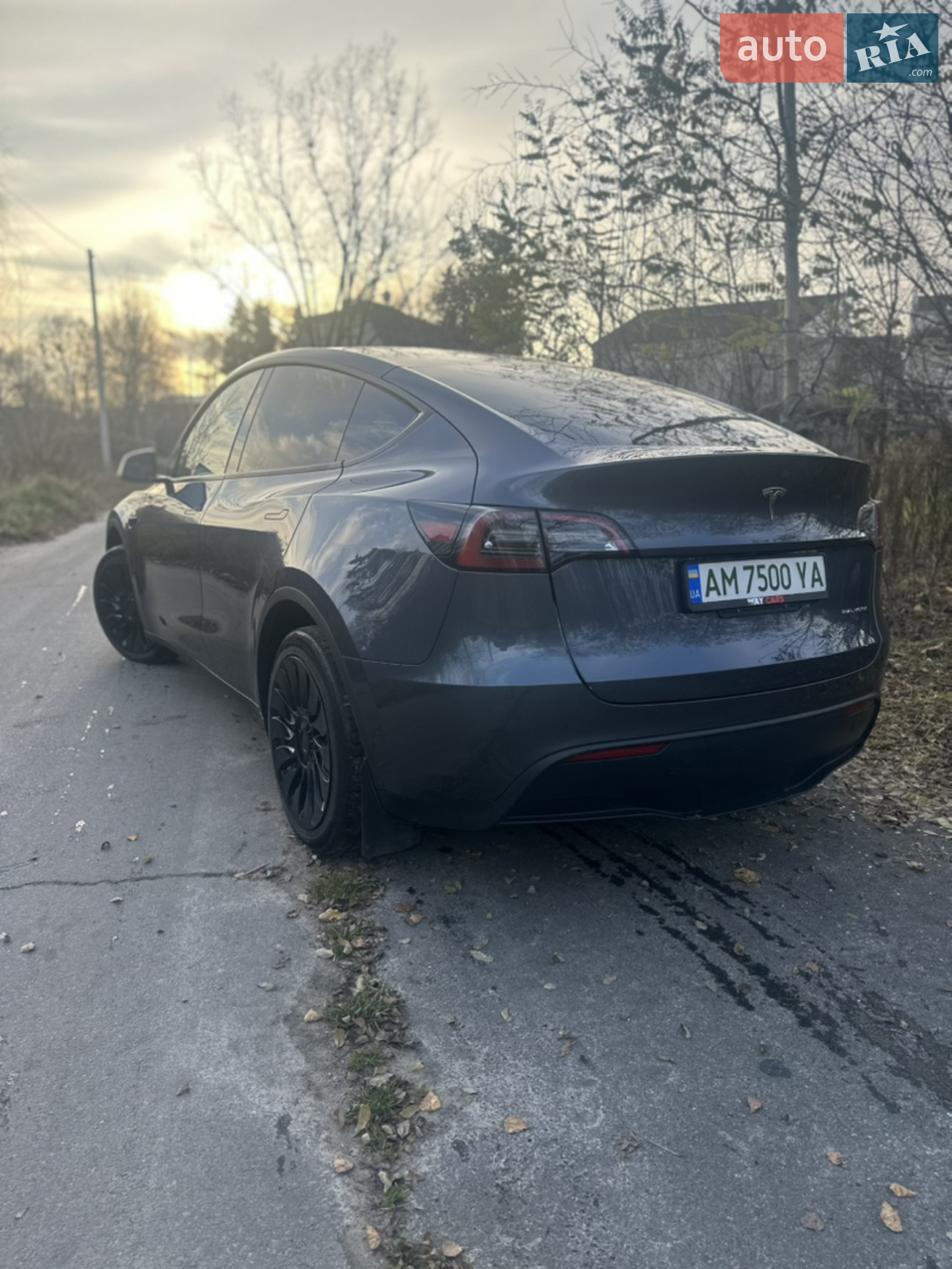 2023 Tesla Model Y - мініатюра 4