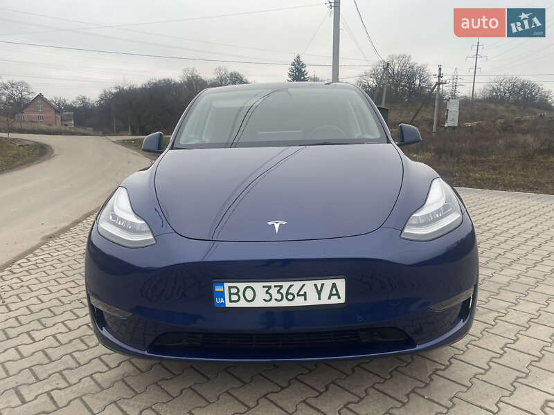 Внедорожник / Кроссовер Tesla Model Y 2021 в Тернополе