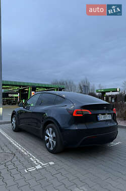 Внедорожник / Кроссовер Tesla Model Y 2024 в Хмельницком