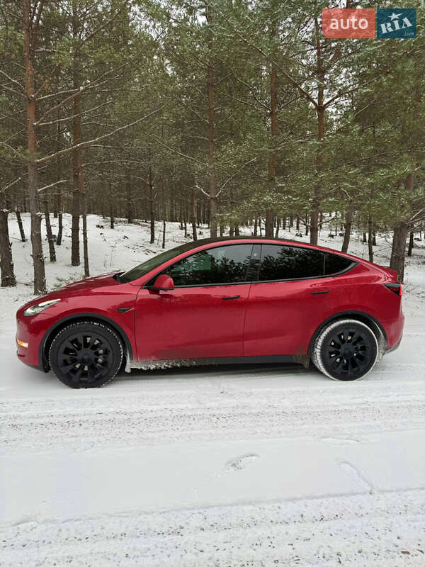 Позашляховик / Кросовер Tesla Model Y 2023 в Броварах фото 2 Позашляховик / Кросовер Tesla Model Y 2023 в Броварах