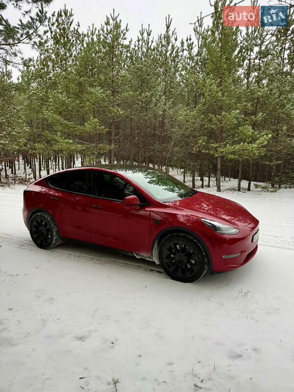 Позашляховик / Кросовер Tesla Model Y 2023 в Броварах фото 7 Позашляховик / Кросовер Tesla Model Y 2023 в Броварах
