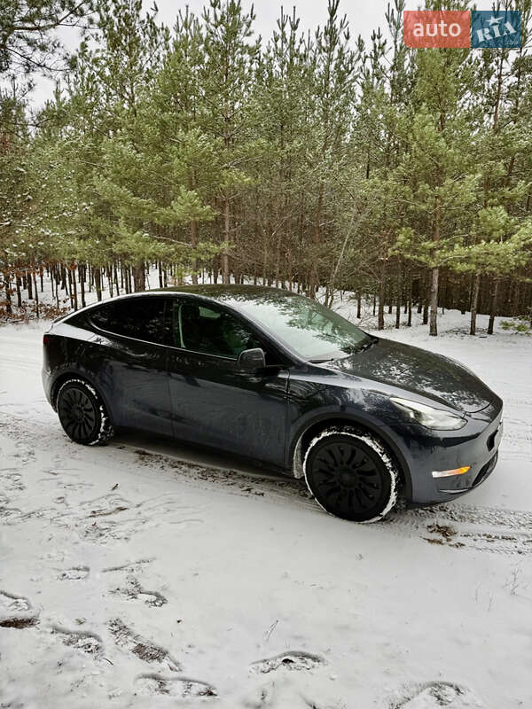 Внедорожник / Кроссовер Tesla Model Y 2024 в Броварах