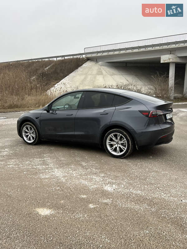 Позашляховик / Кросовер Tesla Model Y 2023 в Тернополі