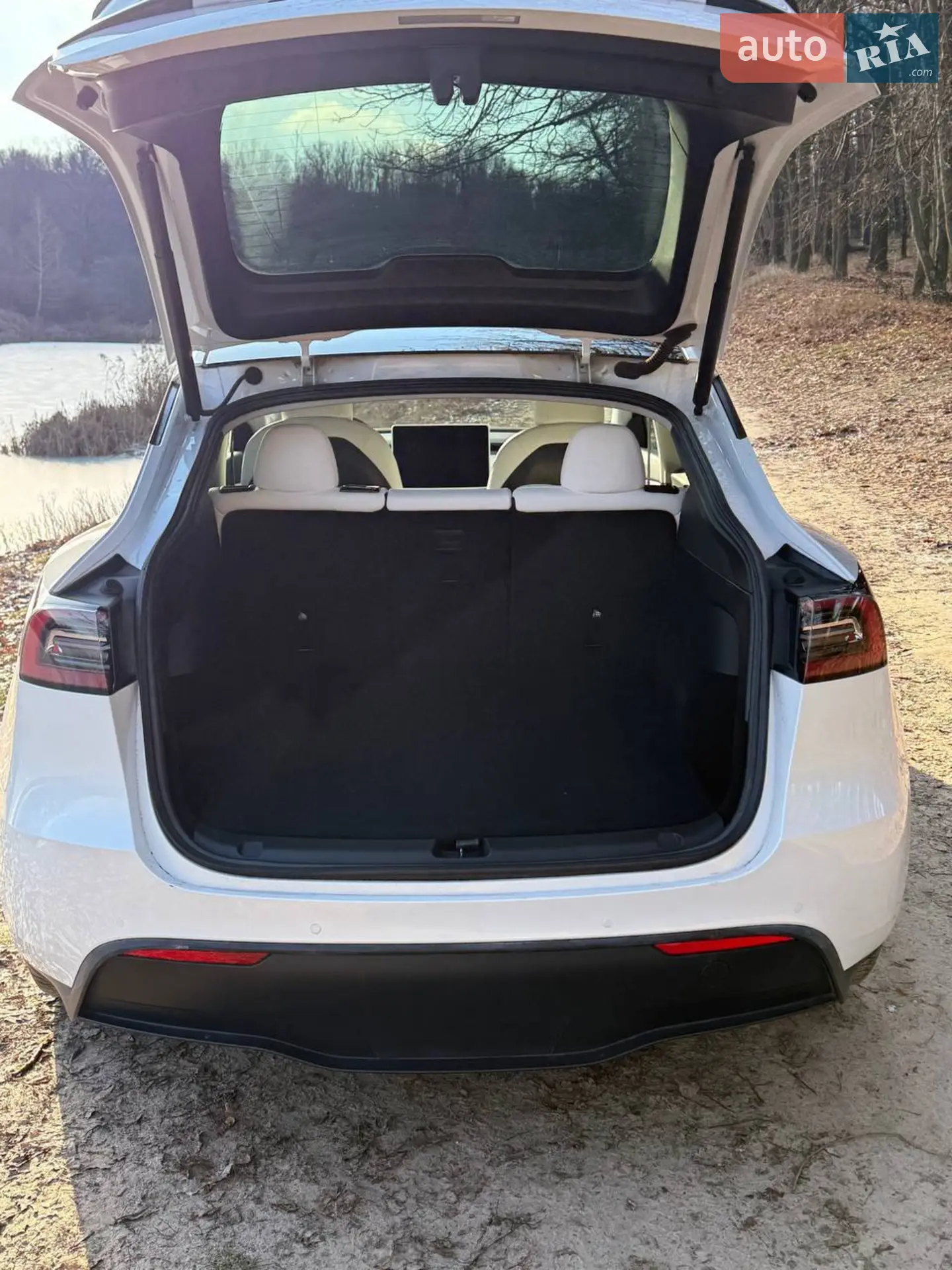 2021 Tesla Model Y - мініатюра 6