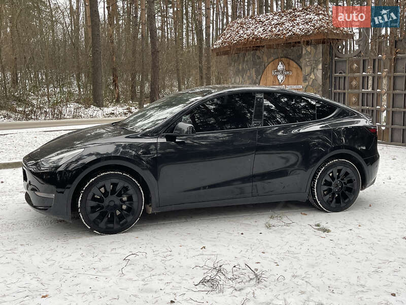 Внедорожник / Кроссовер Tesla Model Y 2023 в Новояворовске