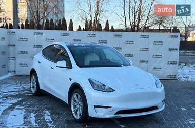 Позашляховик / Кросовер Tesla Model Y 2021 в Луцьку