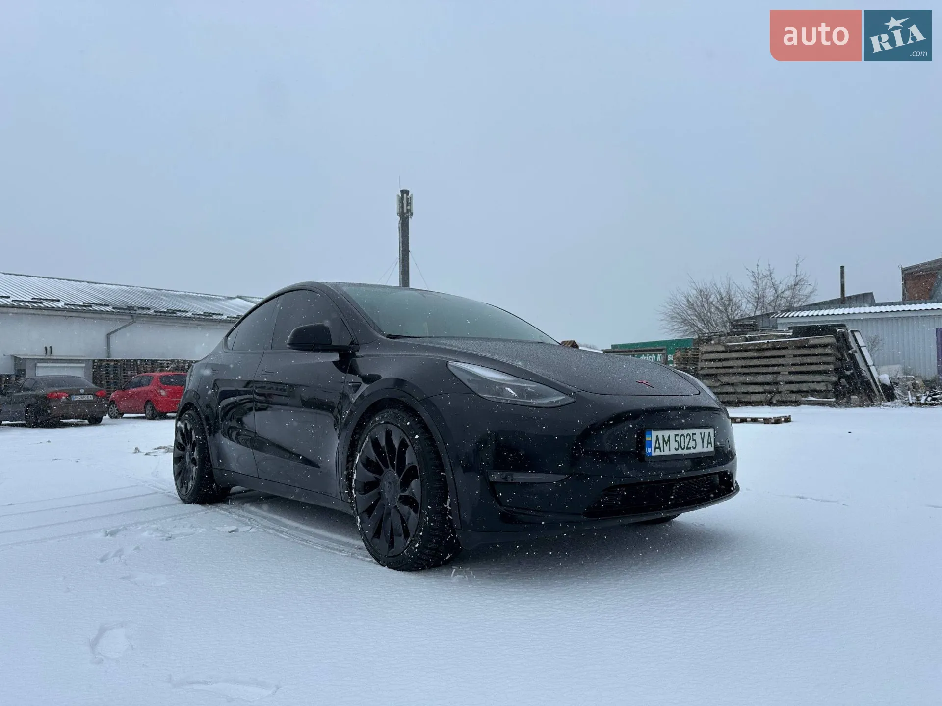 2021 Tesla Model Y - фото 1