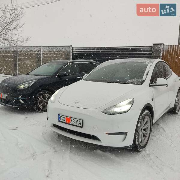 Внедорожник / Кроссовер Tesla Model Y 2021 в Тернополе