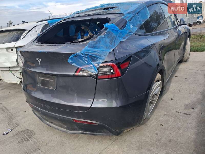 Позашляховик / Кросовер Tesla Model Y 2023 в Білій Церкві