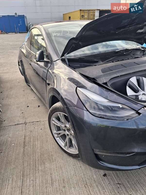 Позашляховик / Кросовер Tesla Model Y 2023 в Білій Церкві