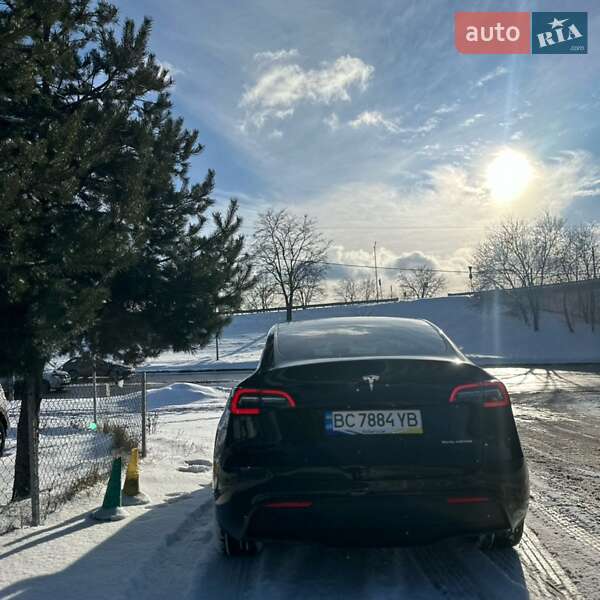 Позашляховик / Кросовер Tesla Model Y 2024 в Львові