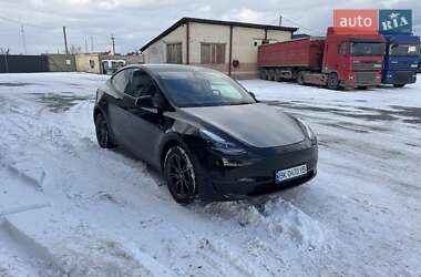 Внедорожник / Кроссовер Tesla Model Y 2024 в Сарнах