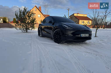 Позашляховик / Кросовер Tesla Model Y 2023 в Костопілі