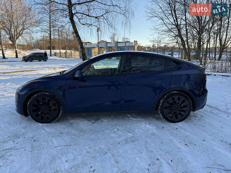 Внедорожник / Кроссовер Tesla Model Y 2022 в Золочеве