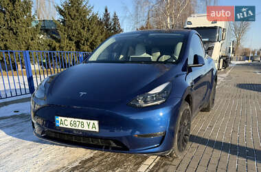 Позашляховик / Кросовер Tesla Model Y 2023 в Ковелі
