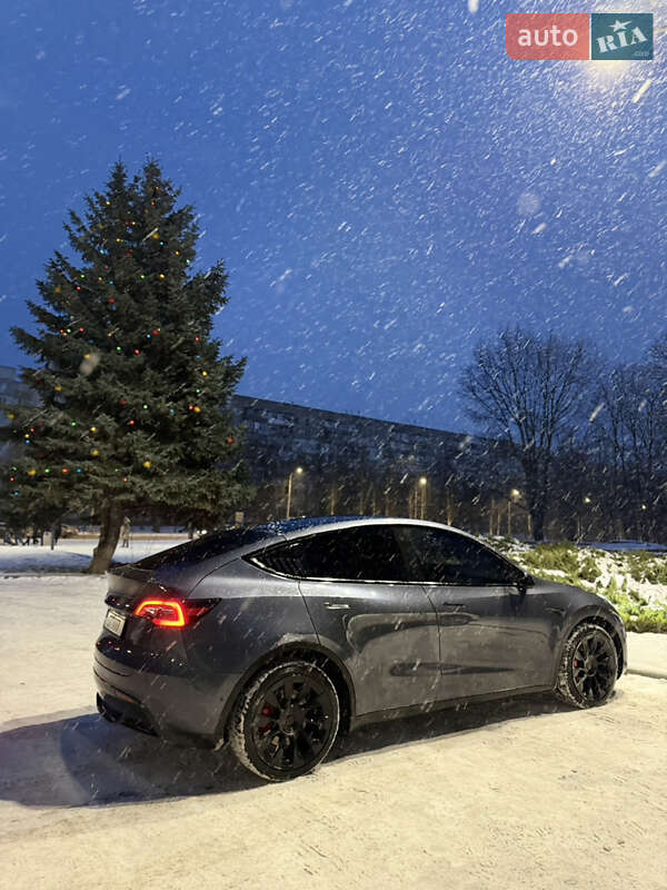 Позашляховик / Кросовер Tesla Model Y 2021 в Черкасах