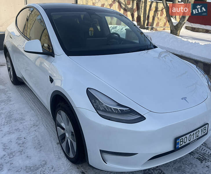 Внедорожник / Кроссовер Tesla Model Y 2023 в Тернополе