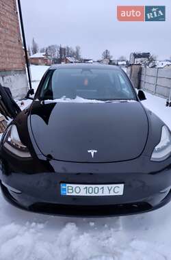 Позашляховик / Кросовер Tesla Model Y 2020 в Петрикові