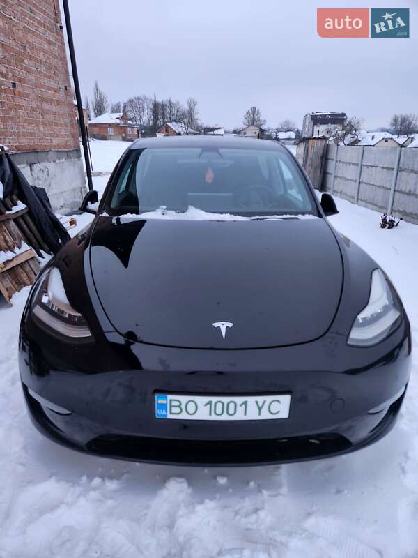 Позашляховик / Кросовер Tesla Model Y 2020 в Петрикові
