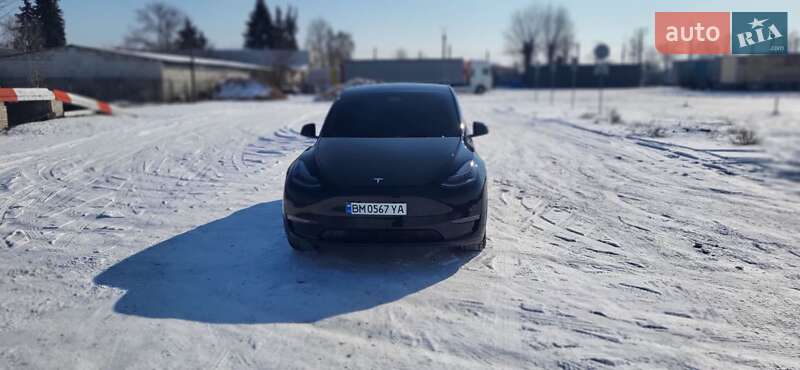 Позашляховик / Кросовер Tesla Model Y 2021 в Сумах