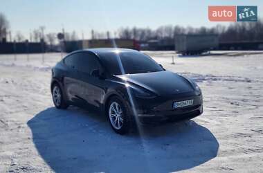 Внедорожник / Кроссовер Tesla Model Y 2021 в Сумах