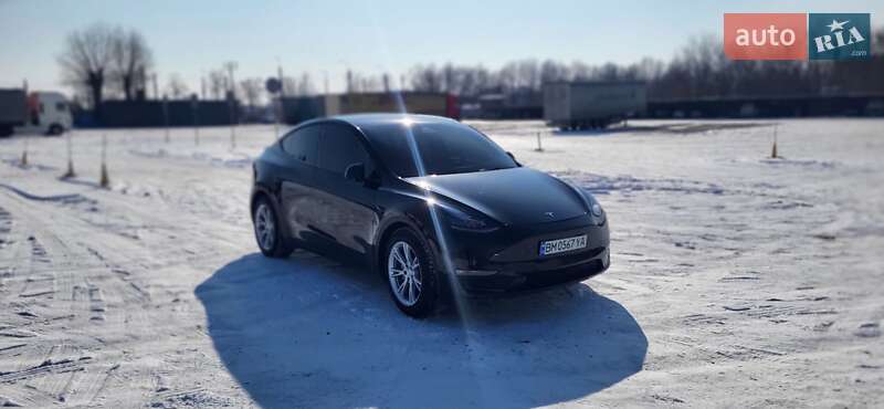 Позашляховик / Кросовер Tesla Model Y 2021 в Сумах