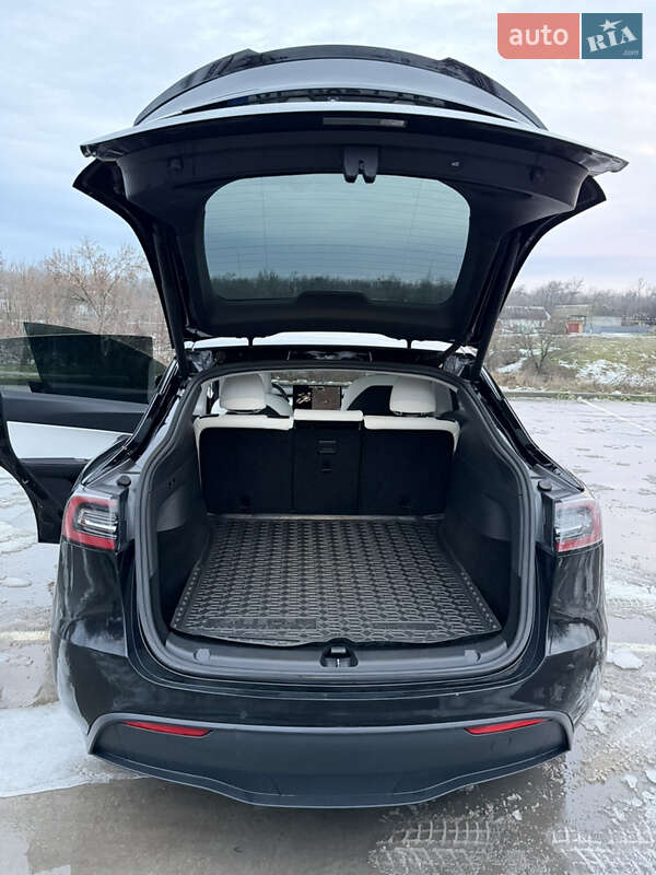 Внедорожник / Кроссовер Tesla Model Y 2020 в Синельниково