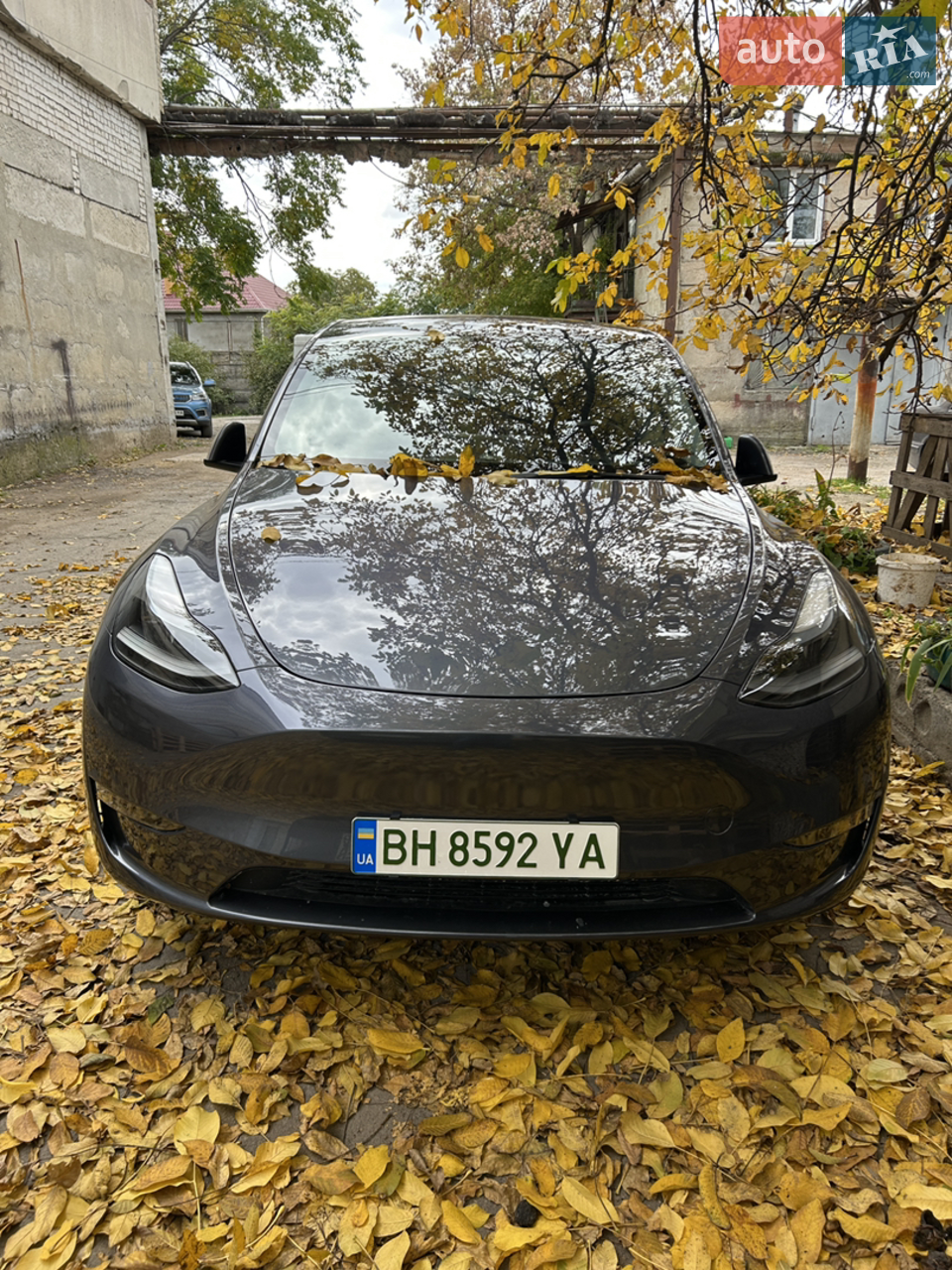 2023 Tesla Model Y - мініатюра 16