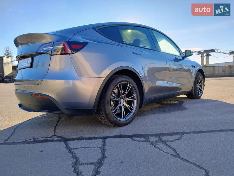 Внедорожник / Кроссовер Tesla Model Y 2024 в Житомире