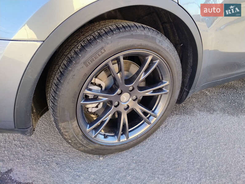 Внедорожник / Кроссовер Tesla Model Y 2024 в Житомире