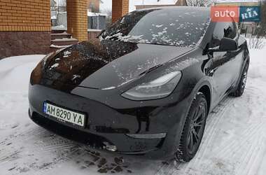 Внедорожник / Кроссовер Tesla Model Y 2024 в Житомире