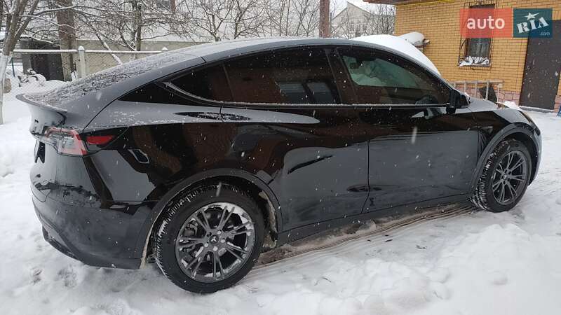 Внедорожник / Кроссовер Tesla Model Y 2024 в Житомире
