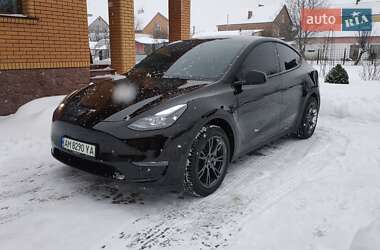 Внедорожник / Кроссовер Tesla Model Y 2024 в Житомире