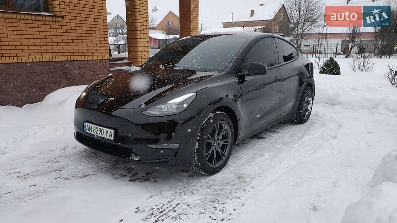 Внедорожник / Кроссовер Tesla Model Y 2024 в Житомире