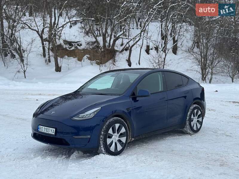 Внедорожник / Кроссовер Tesla Model Y 2021 в Львове