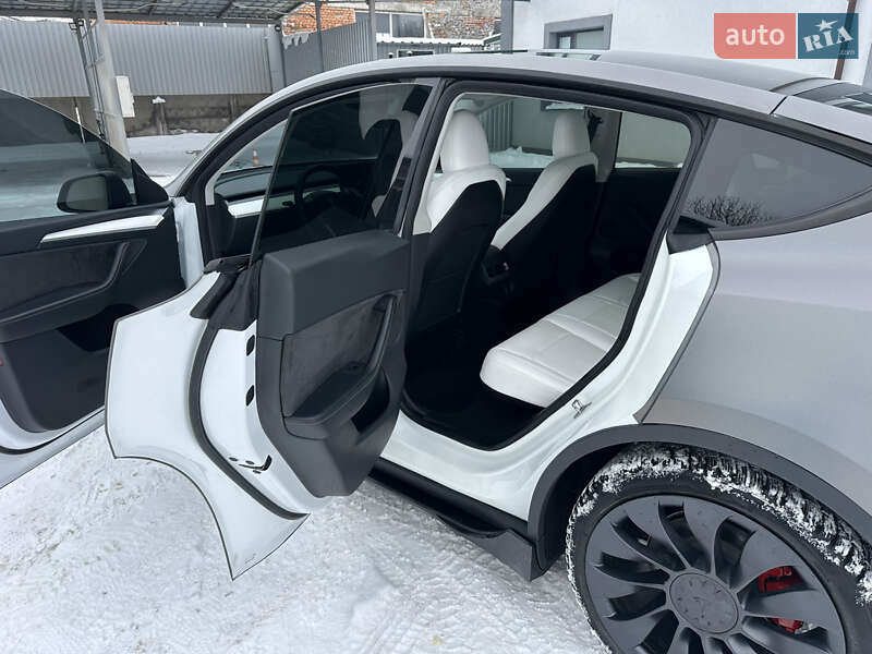 Внедорожник / Кроссовер Tesla Model Y 2023 в Теофиполе