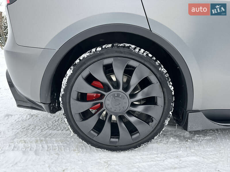 Внедорожник / Кроссовер Tesla Model Y 2023 в Теофиполе